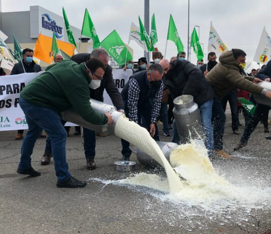 ASAJA : El gobierno no puede permanecer impasible ante la ruina de los ganaderos de vacuno de leche.