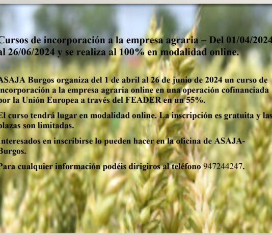 Cursos de incorporación a la empresa agraria – Del 01/04/2024 al 26/06/2024 y se realiza al 100% en modalidad online.