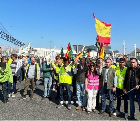 Agricultores de Castilla y León respaldan la protesta de hoy en el puerto de Santander para denunciar la ruina del cereal