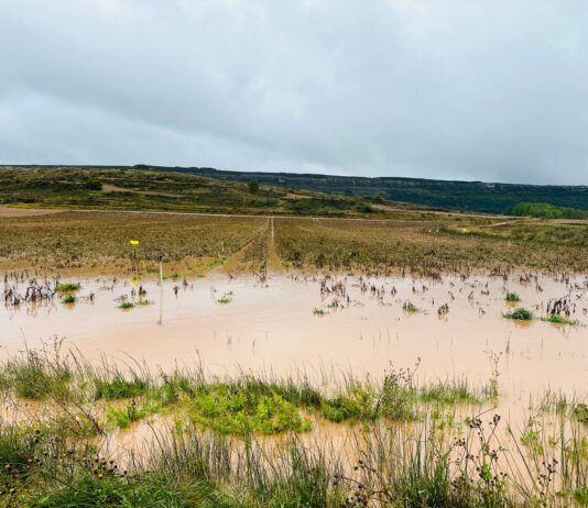 Las intensas precipitaciones arruinan la cosecha de patata de siembra de los valles de valdelucio y tozo.