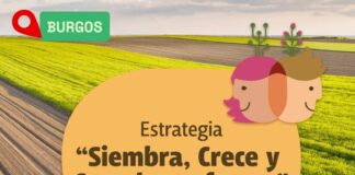Curso de fitosanitarios nivel básico en Burgos del 21 al 25 de septiembre 2026.