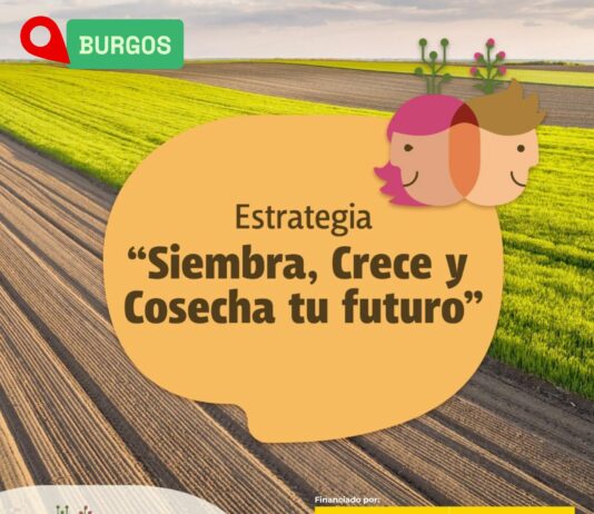 Curso de fitosanitarios nivel básico en Burgos del 21 al 25 de septiembre 2026.