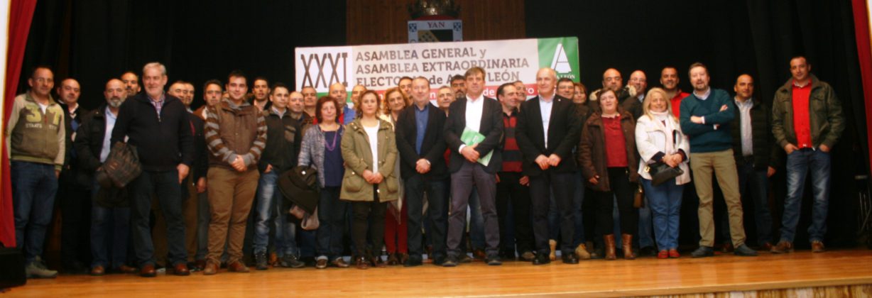 Junta Directiva elegida en febrero de 2017