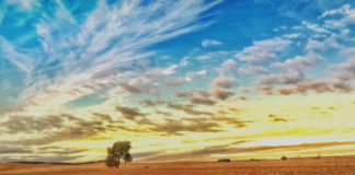 Las seis noticias agrarias de la semana – 17/11/2017 Qué es ASAJA León