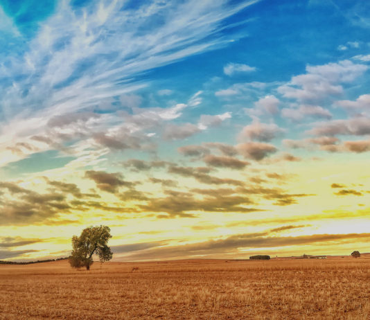 Las seis noticias agrarias de la semana – 17/11/2017 Qué es ASAJA León