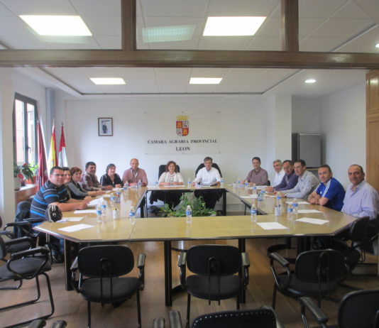 NORMALIDAD ABSOLUTA EN EL FUNCIONAMIENTO DE LA CÁMARA AGRARIA DE LEÓN