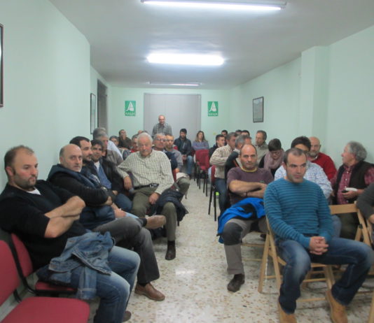 ASAJA SOLICITARÁ A LA JUNTA UNA AYUDA AGROAMBIENTAL PARA EL CULTIVO DEL CASTAÑO