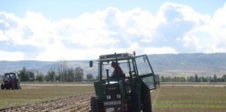 DAVID RODRÍGUEZ, DE NUEVO CAMPEÓN DE ESPAÑA EN ARADO FIJO