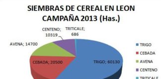 SE CONSTATA UN SENSIBLE AUMENTO DE LA SUPERFICIE DE CEREAL EN LEÓN