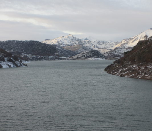 Las seis noticias agrarias de la semana – 05/01/2018