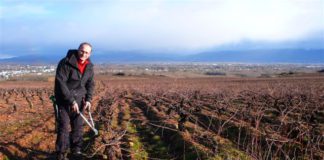 José Manuel Lobato Folgueral, candidato de ASAJA al Consejo Regulador de la DO Bierzo