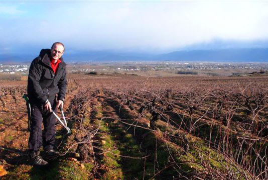 José Manuel Lobato Folgueral, candidato de ASAJA al Consejo Regulador de la DO Bierzo