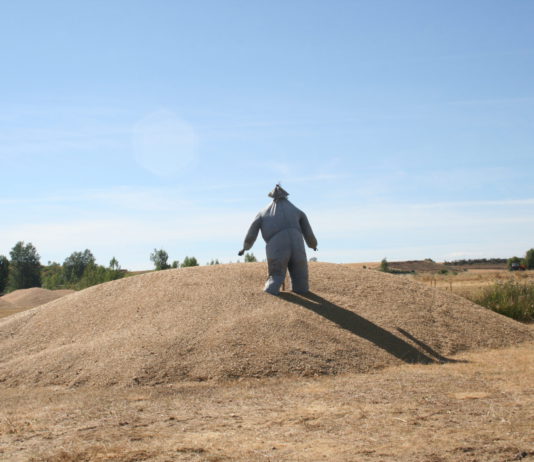 Primeras reacciones a la Comunicación de la Comisión Europea “El futuro de la Alimentación y la Agricultura” Muelo de trigo