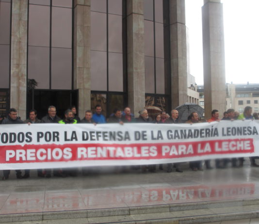 TERCER DÍA DE MANIFESTACIONES DE LOS GANADEROS LEONESES