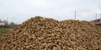 Las seis noticias agrarias de la semana – 20/04/2018 Montón de remolacha