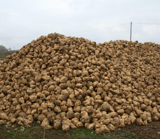 Las seis noticias agrarias de la semana – 20/04/2018 Montón de remolacha