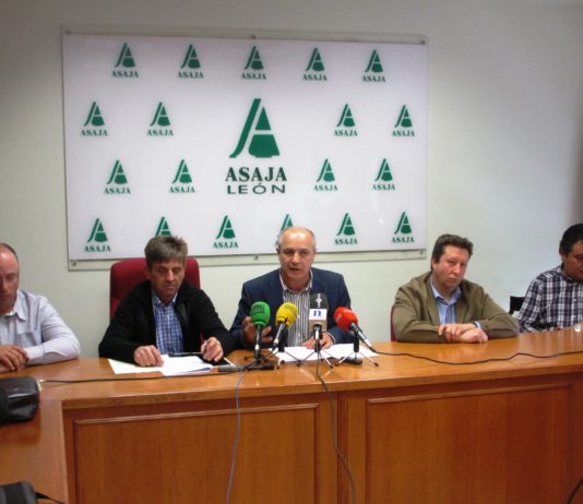 ASPECTOS DIFERENCIALES DE LA AGRICULTURA Y GANADERÍA LEONESAS