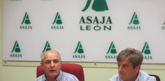 PROPUESTAS DE ASAJA DE LEON A LA JUNTA DE CASTILLA Y LEÓN PARA SOLUCIONAR LOS PROBLEMAS DE BRUCELOSIS Y TUBERCULOSIS BOVINA EN LA MONTAÑA ORIENTAL LEONESA