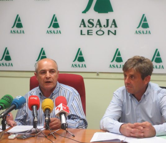 PROPUESTAS DE ASAJA DE LEON A LA JUNTA DE CASTILLA Y LEÓN PARA SOLUCIONAR LOS PROBLEMAS DE BRUCELOSIS Y TUBERCULOSIS BOVINA EN LA MONTAÑA ORIENTAL LEONESA