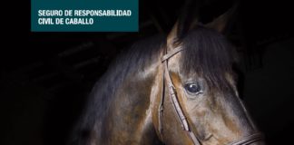 RC Caballos + Retirada por 50 euros