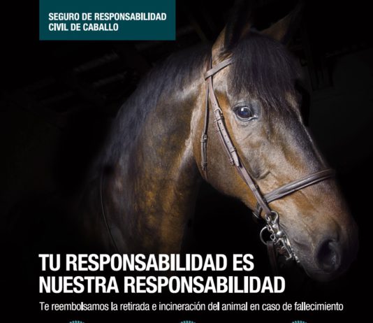 RC Caballos + Retirada por 50 euros