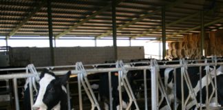 Las seis noticias agrarias de la semana – 04-05-2018