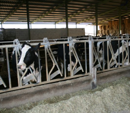 Las seis noticias agrarias de la semana – 04-05-2018