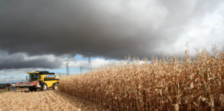 Asaja defiende el cultivo del maíz en su visita a Santa María del Páramo en la campaña de las elecciones agrarias Cosechando maíz