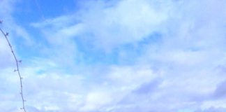 ASAJA ADVIERTE SOBRE LAS PÉRDIDAS EN MILES DE HECTÁREAS AGRÍCOLAS ANEGADAS POR EL AGUA