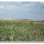 La Junta retiene 85.000 títulos de propiedad, a 43.500 propietarios, de parcelas entregadas desde hace 18 años