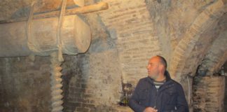 NECESARIA REGULACIÓN DE LAS BODEGAS TRADICIONALES