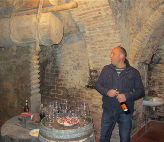 NECESARIA REGULACIÓN DE LAS BODEGAS TRADICIONALES