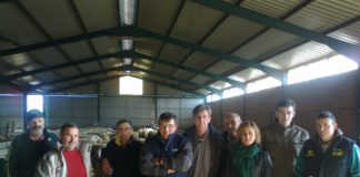 ASAJA EXIGE MEDIDAS CONTRA LA CRISIS DEL OVINO DE LECHE, SECTOR EN RECESIÓN POR LOS BAJOS PRECIOS