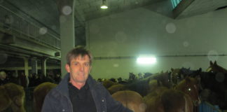 LAS NORMAS DE BIENESTAR ANIMAL DIFICULTAN LA COMERCIALIZACIÓN DE LOS CABALLOS DE CARNE