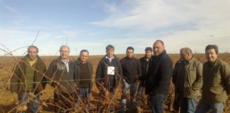 APOYO DE ASAJA AL SECTOR VITIVINÍCOLA DE LA PROVINCIA DE LEON