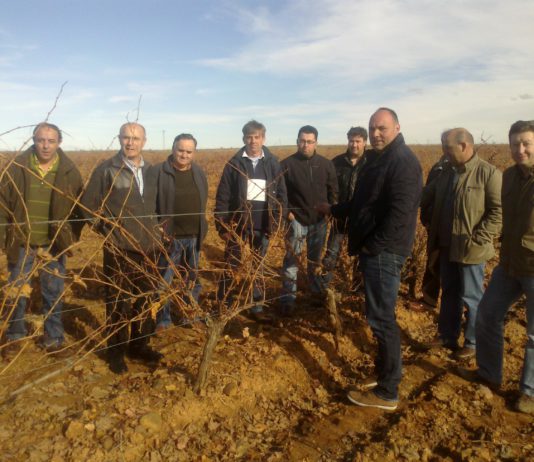 APOYO DE ASAJA AL SECTOR VITIVINÍCOLA DE LA PROVINCIA DE LEON
