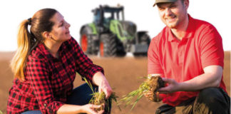 Claves para incorporarse con éxito a la agricultura Claves para incorporarse con éxito a la agricultura