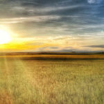 La Comisión Europea presenta opciones de simplificación para reducir la carga de los agricultores de la UE Las seis noticias agrícolas de la semana