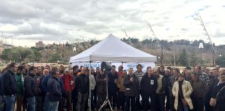 ASAJA PIDE A LAS CORTES QUE FUERCEN UN MAYOR IMPULSO POLÍTICO PARA SOLUCIONAR LOS PROBLEMAS DEL SECTOR LÁCTEO