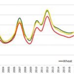 EL PRECIO DE LOS CEREALES SE ESTABILIZARÁ EN 200 EUROS POR TONELADA