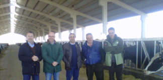 ASAJA ADVIERTE QUE EL ÉXITO DE CONVENIOS Y CONTRATOS SE COMPROBARÁ SI SUBE EL PRECIO DEL LITRO DE LECHE