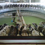 Sanción de la CNMC a las industrias lácteas