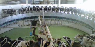 Sanción de la CNMC a las industrias lácteas