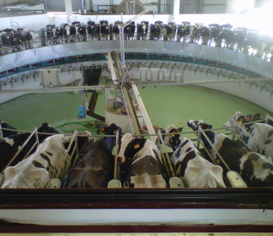 Asaja critica los bajos precios de la leche de vaca y la nueva normativa sobre uso de los purines