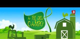 A PIE DEL CAMPO 101