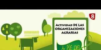 A PIE DEL CAMPO 19/08/2017