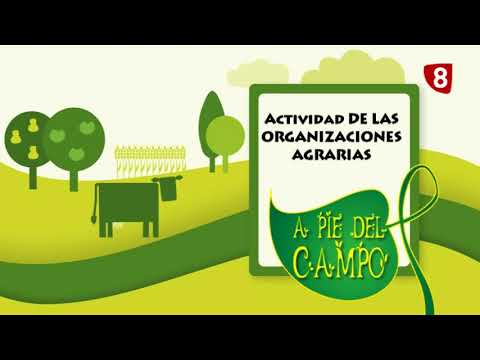A PIE DEL CAMPO 19/08/2017