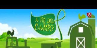 A PIE DEL CAMPO 95