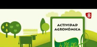 A PIE DEL CAMPO 12/08/2017