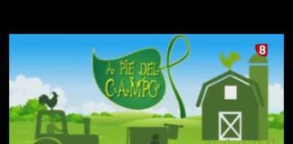 A PIE DEL CAMPO 68